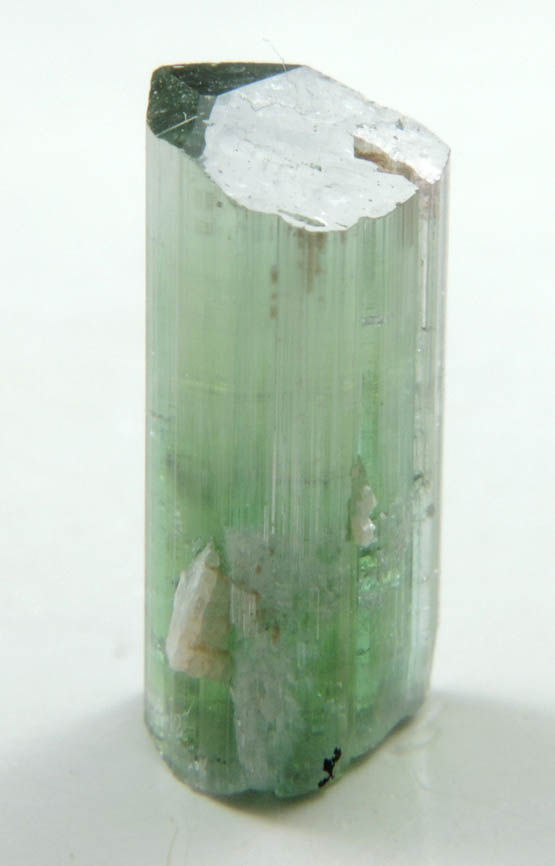 Elbaite Tourmaline from Minas Gerais, Brazil