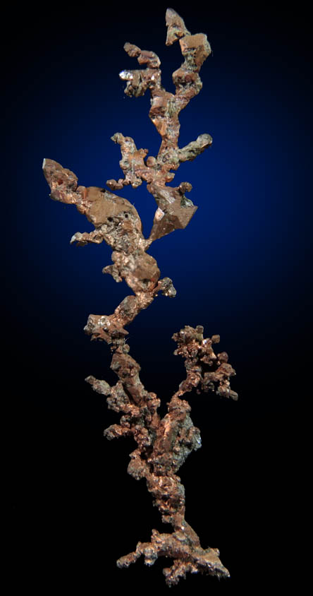 Copper (naturally crystallized native copper) from Cape Spencer, Nova Scotia, Canada