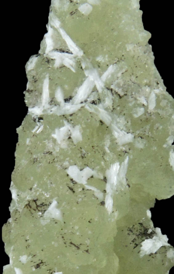 Laumontite on Prehnite pseudomorph after Anhydrite from Upper New Street Quarry, Paterson, Passaic County, New Jersey