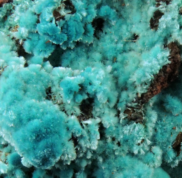 Rosasite from Santa Eulalia District, Aquiles Serdn, Chihuahua, Mexico