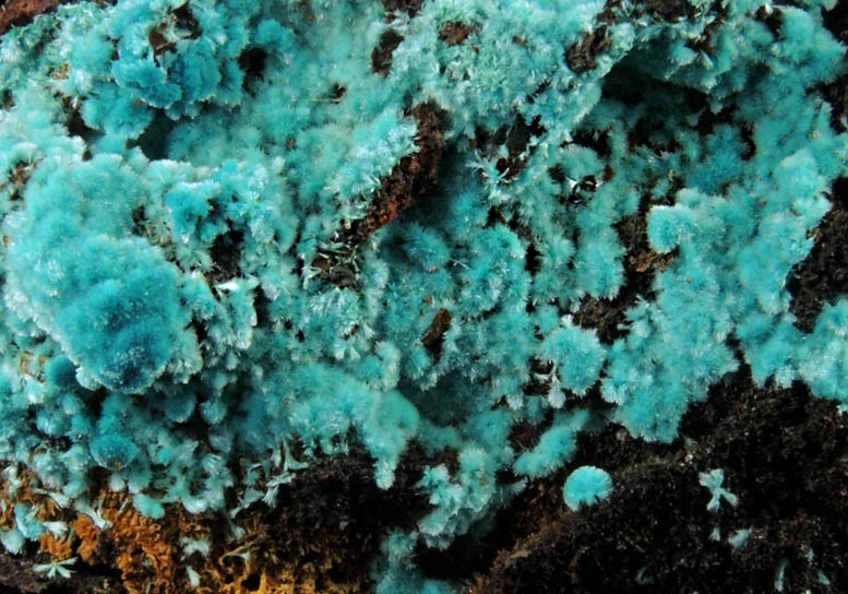 Rosasite from Santa Eulalia District, Aquiles Serdn, Chihuahua, Mexico