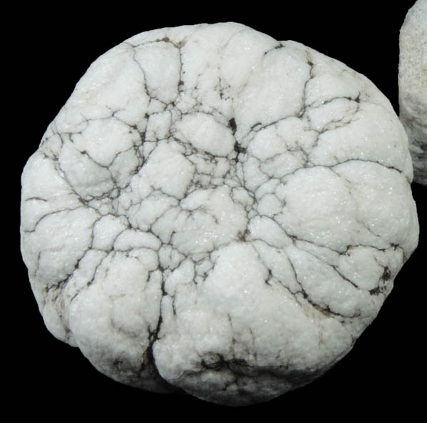 Howlite from Nova Scotia, Canada