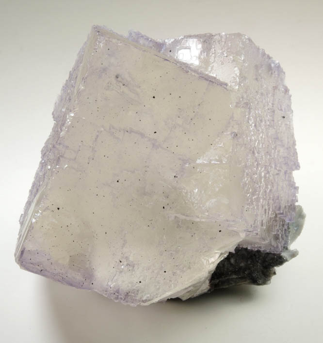 Fluorite with minor Bitumen from Elmwood Mine, Carthage, Smith County, Tennessee