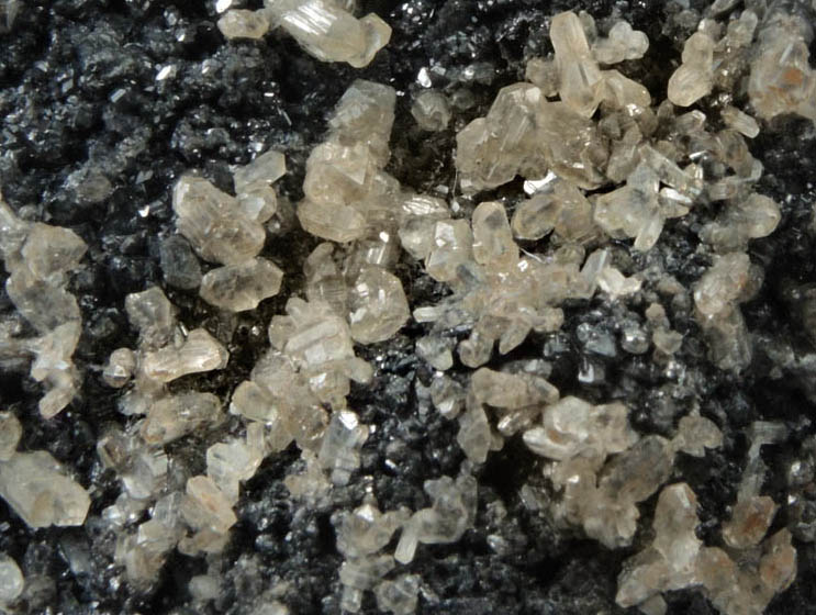 Cerussite (sixling-twinned crystals) on Galena from Tsumeb Mine, Otavi-Bergland District, Oshikoto, Namibia