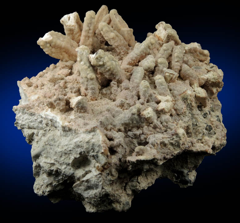 Anhydrite with Aragonite coating from Vandermade Quarry (Prospect Park Quarry), Prospect Park, Passaic County, New Jersey