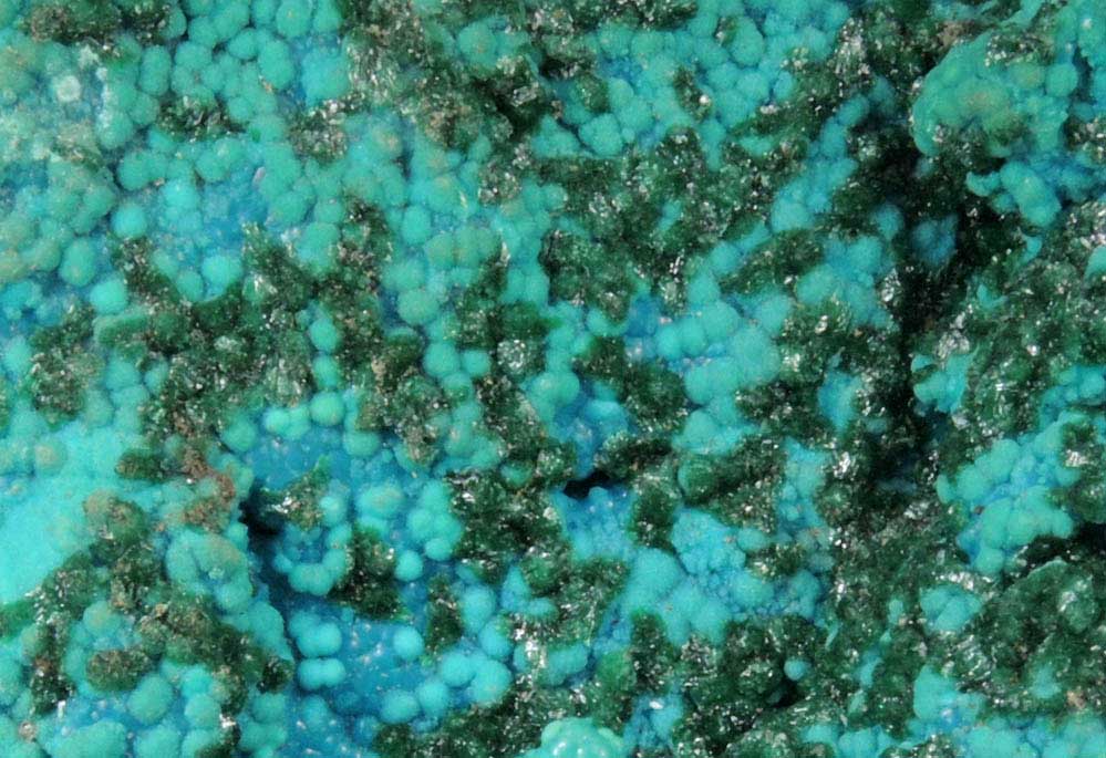 Malachite over Chrysocolla from Lubumbashi, Katanga Copperbelt, Haut-Katanga Province, Democratic Republic of the Congo