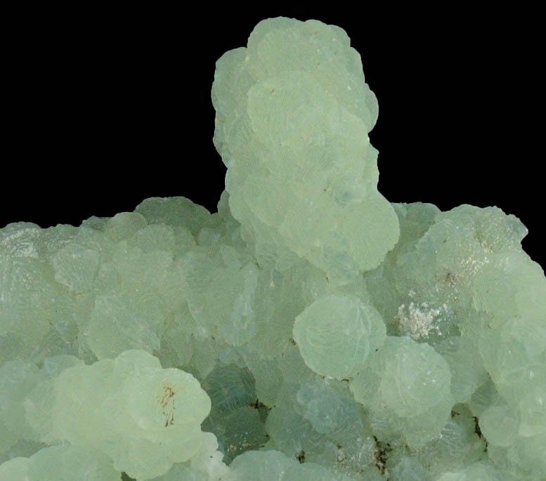 Prehnite pseudomorphs after Anhydrite from Prospect Park Quarry, Prospect Park, Passaic County, New Jersey