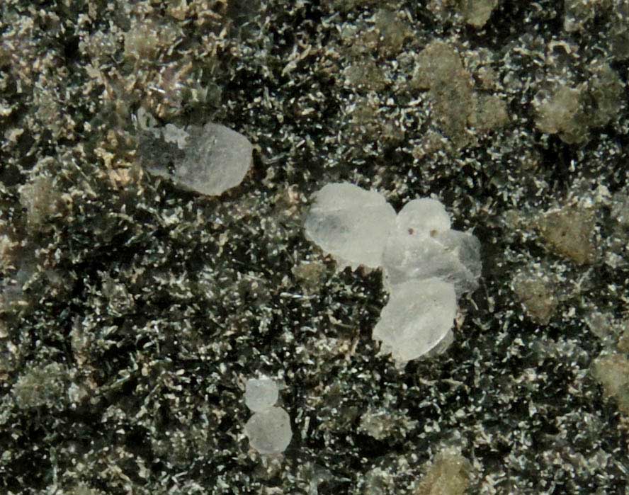 Prehnite pseudomorph after Anhydrite with Calcite and Babingtonite from Prospect Park Quarry, Prospect Park, Passaic County, New Jersey