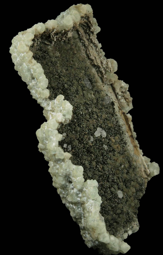 Prehnite pseudomorph after Anhydrite with Calcite and Babingtonite from Prospect Park Quarry, Prospect Park, Passaic County, New Jersey