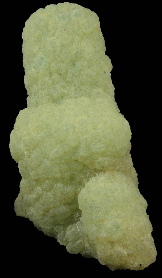 Prehnite pseudomorphs after Anhydrite from Lane's Quarry, Westfield, Hampden County, Massachusetts