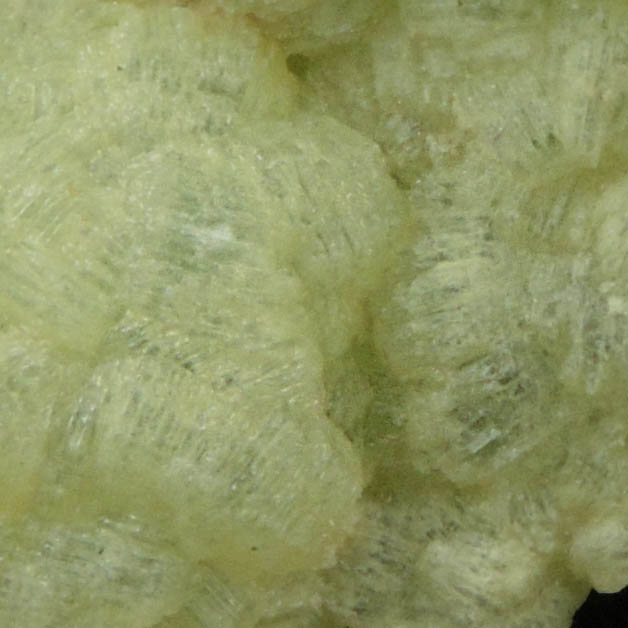 Prehnite pseudomorphs after Anhydrite from Lane's Quarry, Westfield, Hampden County, Massachusetts