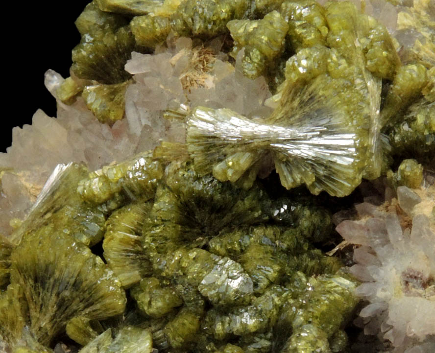 Epidote over Quartz from Imilchil, High Atlas Mountains, Errachidia Province, Morocco