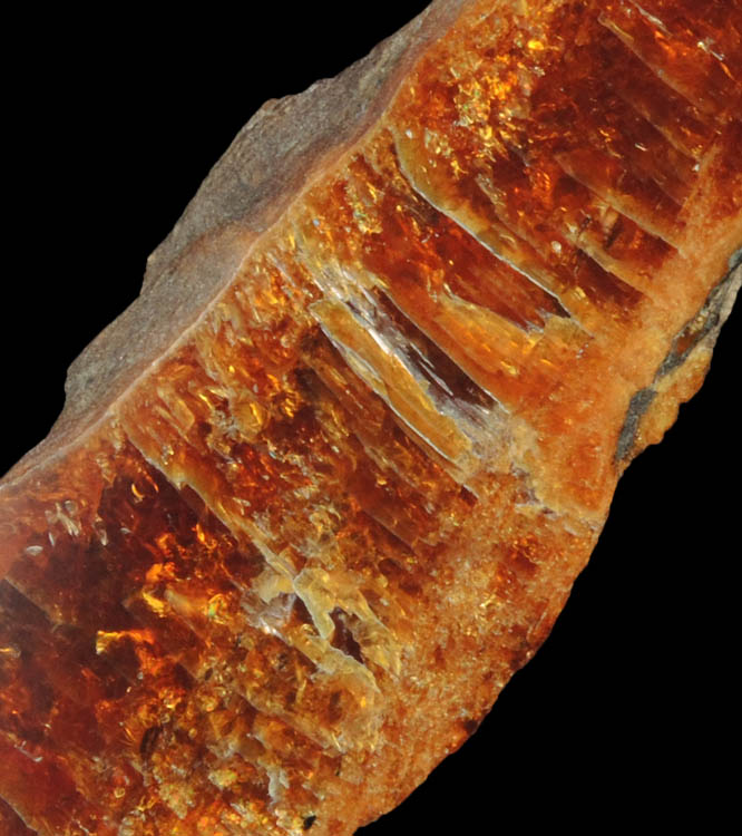 Amber (Succinite) from Colti, Patarlagele, Buzau County, Romania