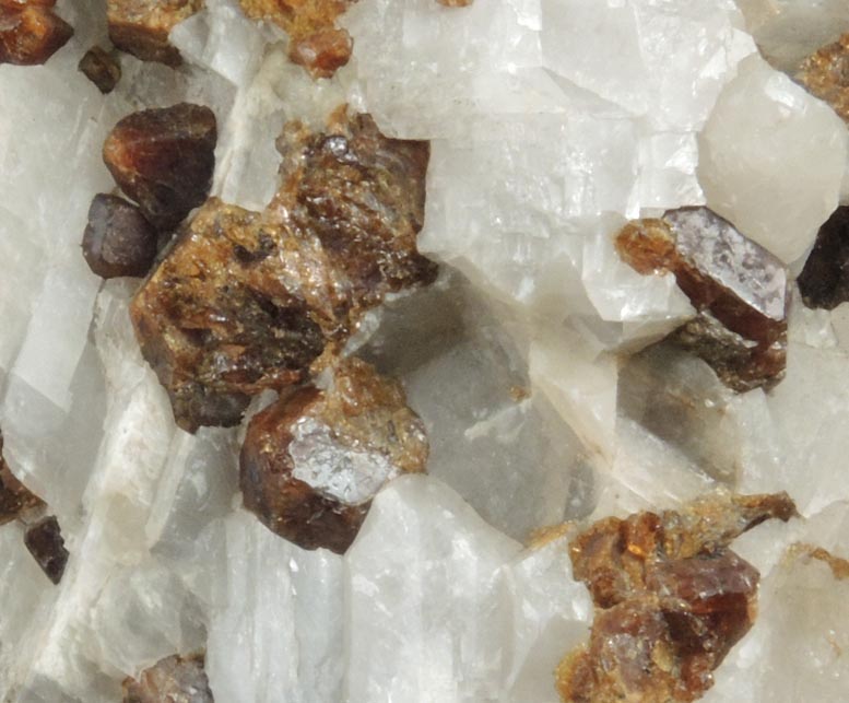 Andradite Garnet and Willemite in Calcite with Phlogopite from Franklin District, Sussex County, New Jersey