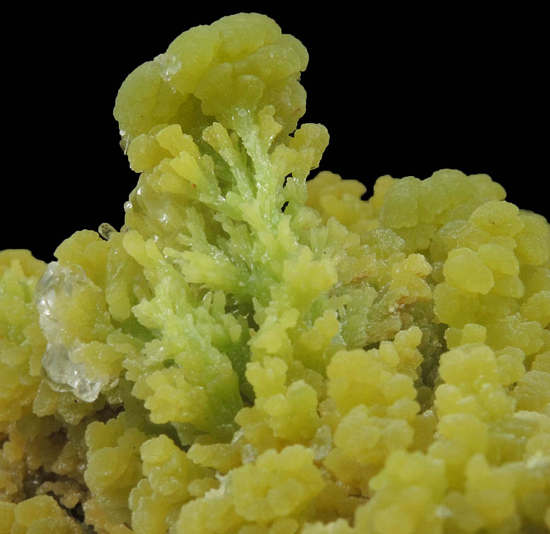 Mimetite from Mina la Esperanza, Zaragoza District, Durango, Mexico