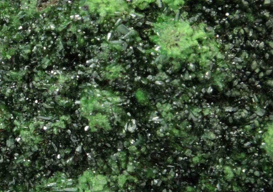 Conichalcite from El Cajon, Sonora, Mexico