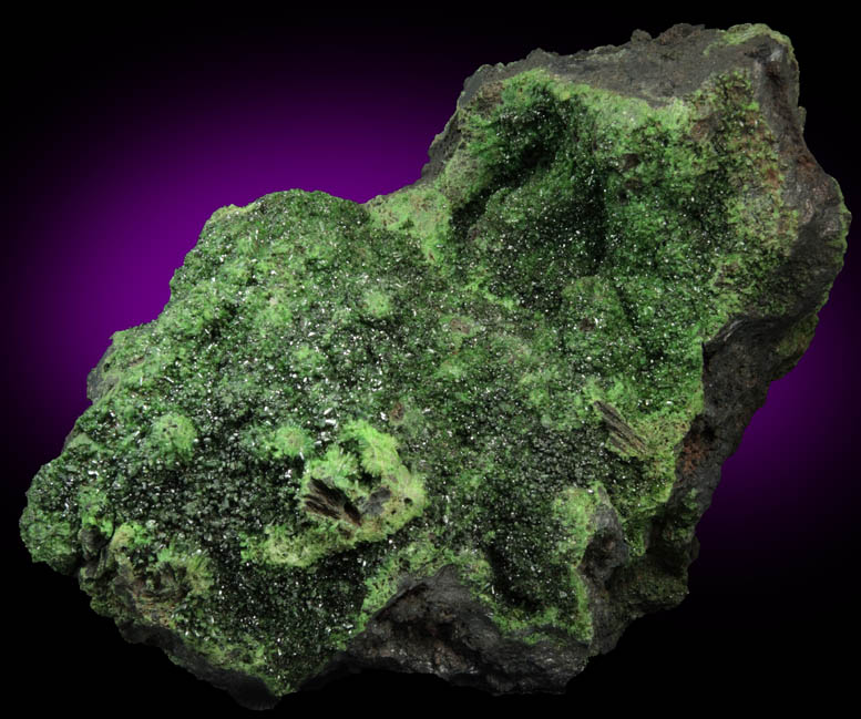 Conichalcite from El Cajon, Sonora, Mexico