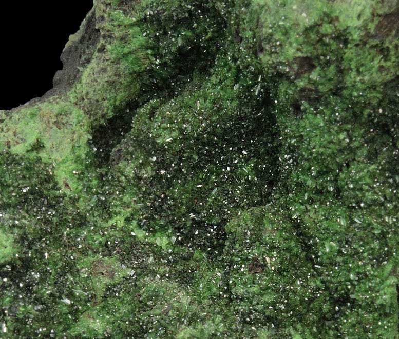 Conichalcite from El Cajon, Sonora, Mexico