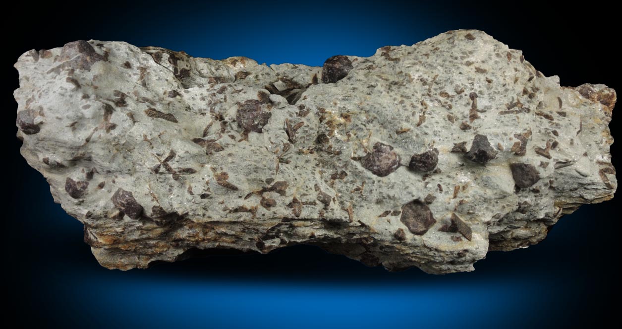 Almandine Garnet with Staurolite from Green's Farm, 750 m. ESE of Roxbury Falls, Roxbury, New Haven County, Connecticut