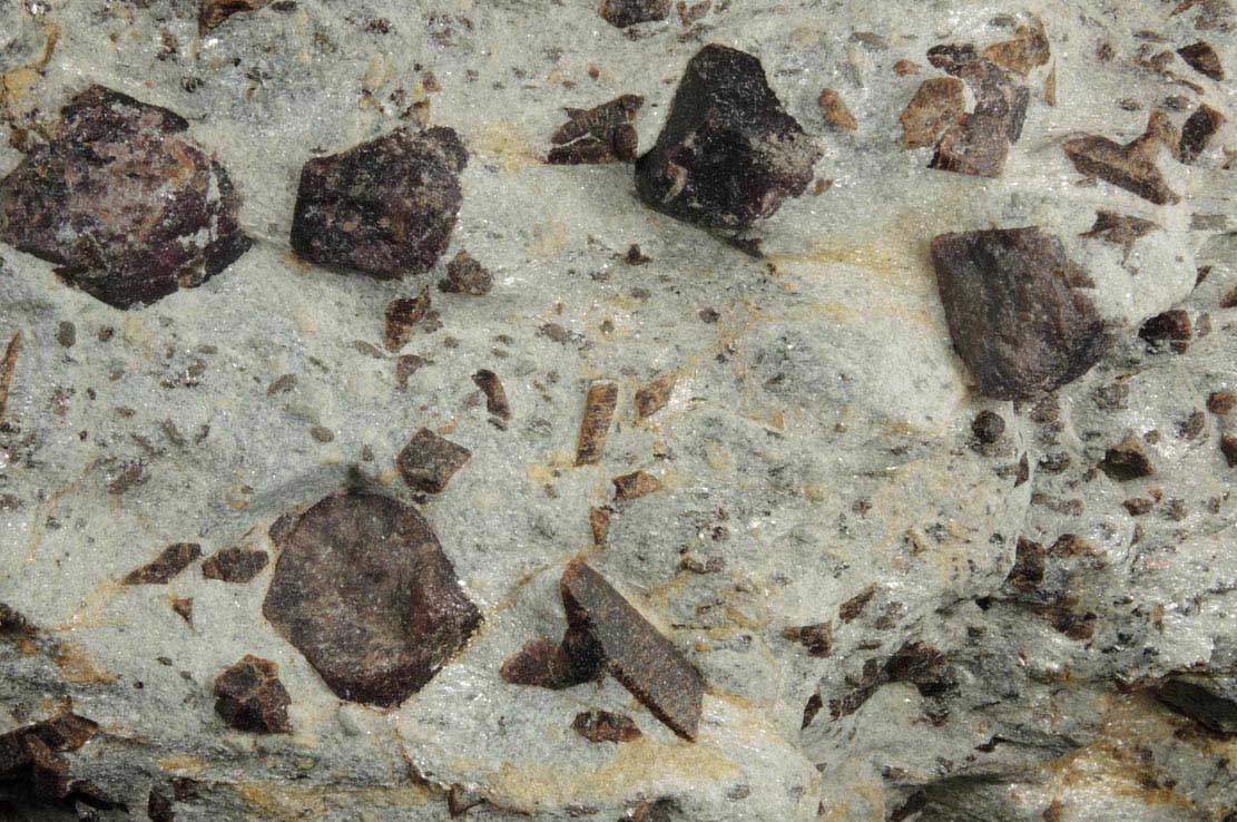 Almandine Garnet with Staurolite from Green's Farm, 750 m. ESE of Roxbury Falls, Roxbury, New Haven County, Connecticut