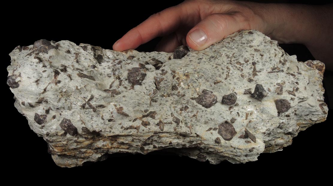 Almandine Garnet with Staurolite from Green's Farm, 750 m. ESE of Roxbury Falls, Roxbury, New Haven County, Connecticut