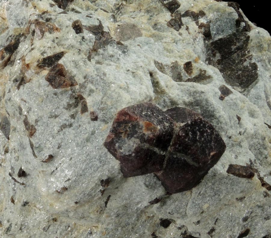 Almandine Garnet with Staurolite from Green's Farm, 750 m. ESE of Roxbury Falls, Roxbury, New Haven County, Connecticut