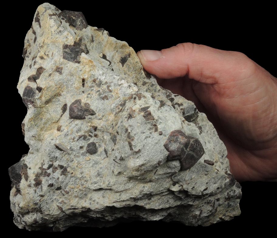 Almandine Garnet with Staurolite from Green's Farm, 750 m. ESE of Roxbury Falls, Roxbury, New Haven County, Connecticut