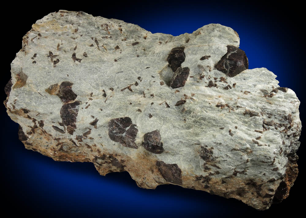 Almandine Garnet with Staurolite from Green's Farm, 750 m. ESE of Roxbury Falls, Roxbury, New Haven County, Connecticut