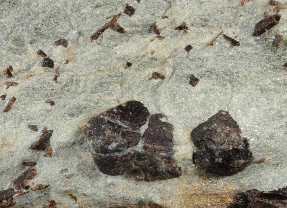 Almandine Garnet with Staurolite from Green's Farm, 750 m. ESE of Roxbury Falls, Roxbury, New Haven County, Connecticut