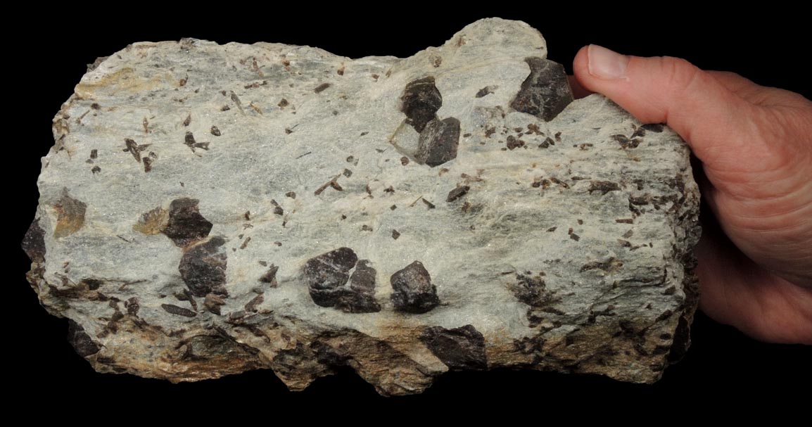 Almandine Garnet with Staurolite from Green's Farm, 750 m. ESE of Roxbury Falls, Roxbury, New Haven County, Connecticut