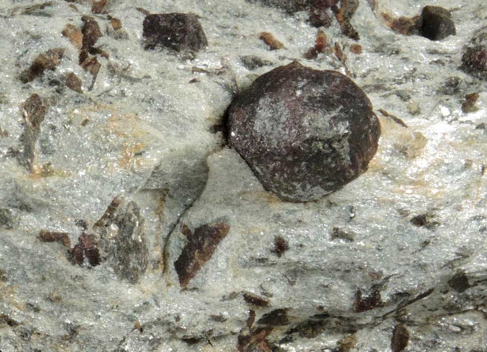 Almandine Garnet with Staurolite from Green's Farm, 750 m. ESE of Roxbury Falls, Roxbury, New Haven County, Connecticut