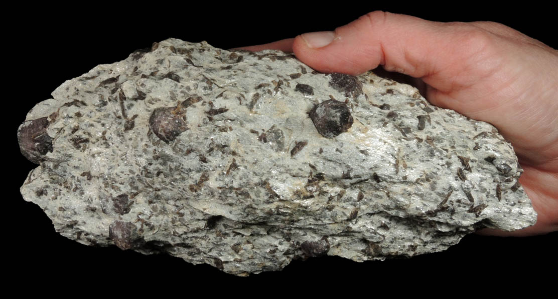 Almandine Garnet with Staurolite from Green's Farm, 750 m. ESE of Roxbury Falls, Roxbury, New Haven County, Connecticut