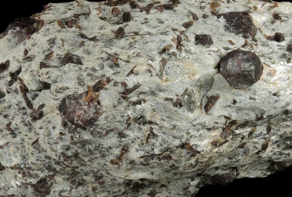 Almandine Garnet with Staurolite from Green's Farm, 750 m. ESE of Roxbury Falls, Roxbury, New Haven County, Connecticut