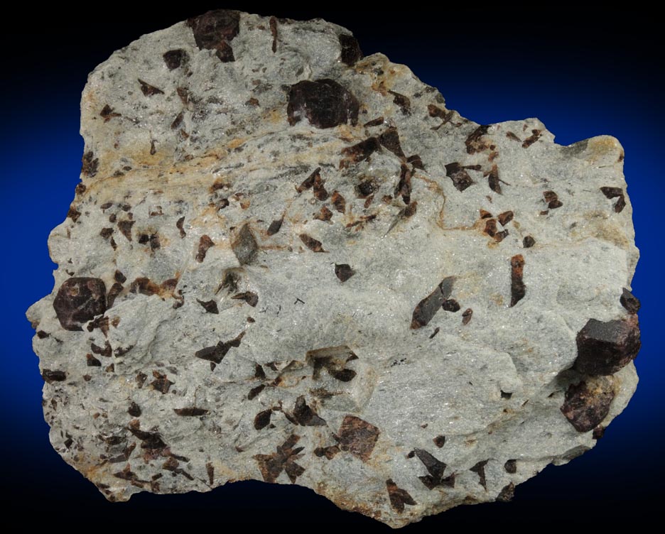 Almandine Garnet with Staurolite from Green's Farm, 750 m. ESE of Roxbury Falls, Roxbury, New Haven County, Connecticut