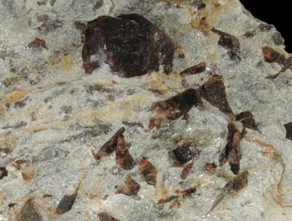 Almandine Garnet with Staurolite from Green's Farm, 750 m. ESE of Roxbury Falls, Roxbury, New Haven County, Connecticut