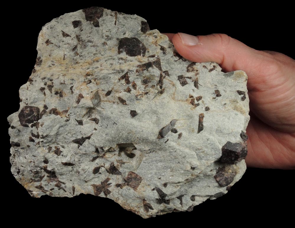 Almandine Garnet with Staurolite from Green's Farm, 750 m. ESE of Roxbury Falls, Roxbury, New Haven County, Connecticut