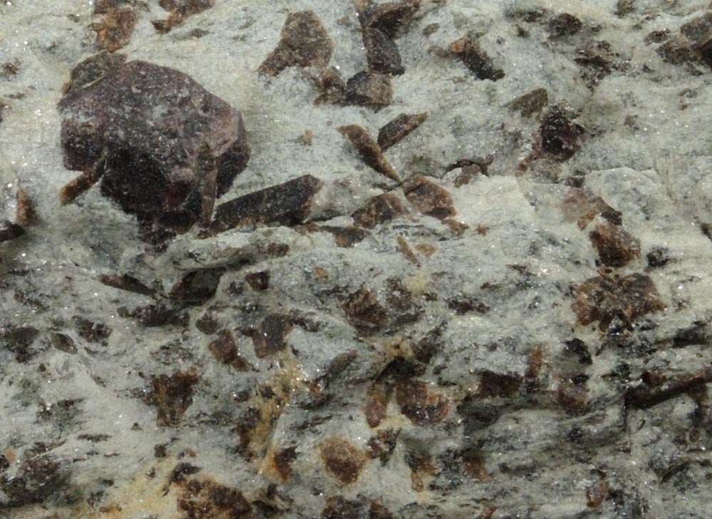 Almandine Garnet with Staurolite from Green's Farm, 750 m. ESE of Roxbury Falls, Roxbury, New Haven County, Connecticut