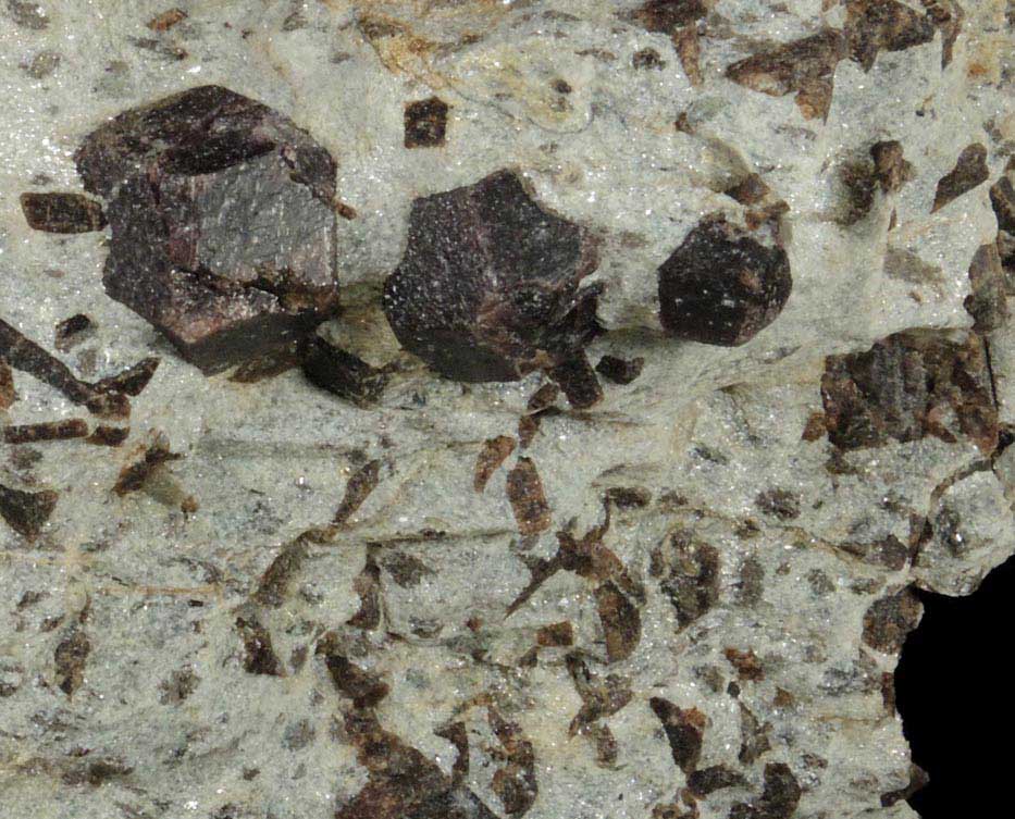 Almandine Garnet with Staurolite from Green's Farm, 750 m. ESE of Roxbury Falls, Roxbury, New Haven County, Connecticut