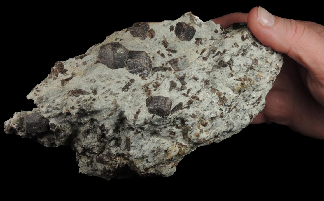 Almandine Garnet with Staurolite from Green's Farm, 750 m. ESE of Roxbury Falls, Roxbury, New Haven County, Connecticut