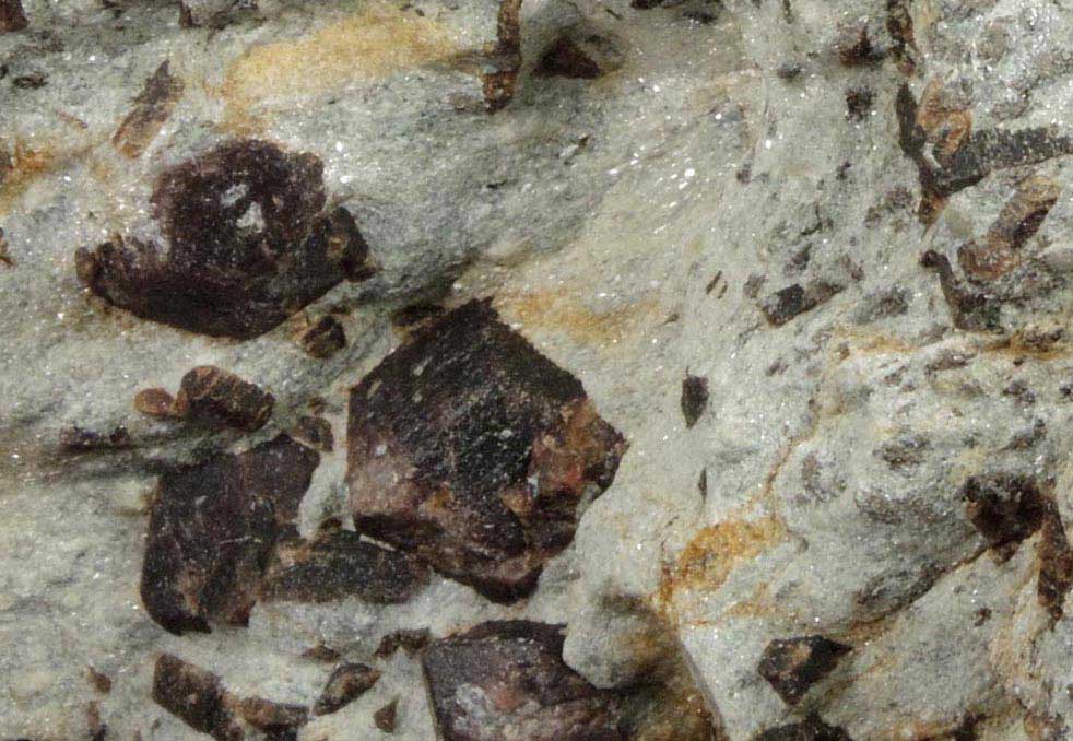 Almandine Garnet with Staurolite from Green's Farm, 750 m. ESE of Roxbury Falls, Roxbury, New Haven County, Connecticut