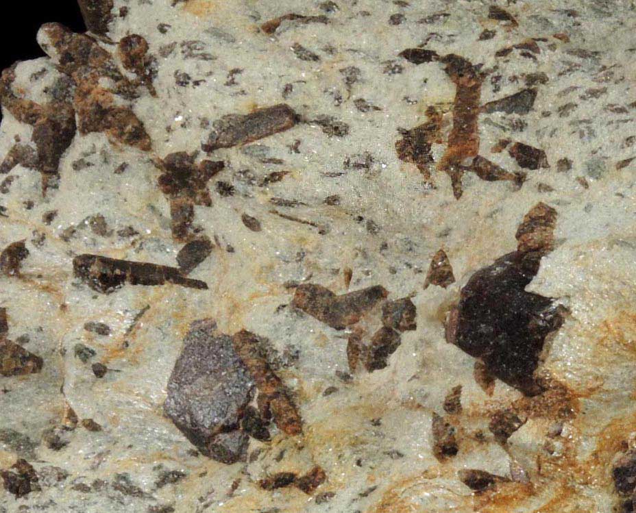 Almandine Garnet with Staurolite from Green's Farm, 750 m. ESE of Roxbury Falls, Roxbury, New Haven County, Connecticut