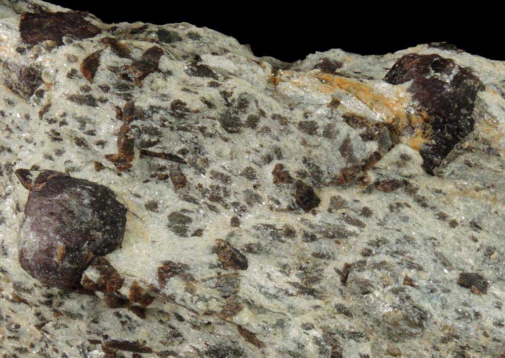 Almandine Garnet with Staurolite from Green's Farm, 750 m. ESE of Roxbury Falls, Roxbury, New Haven County, Connecticut