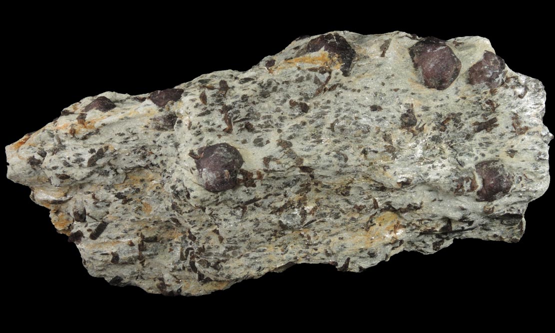 Almandine Garnet with Staurolite from Green's Farm, 750 m. ESE of Roxbury Falls, Roxbury, New Haven County, Connecticut