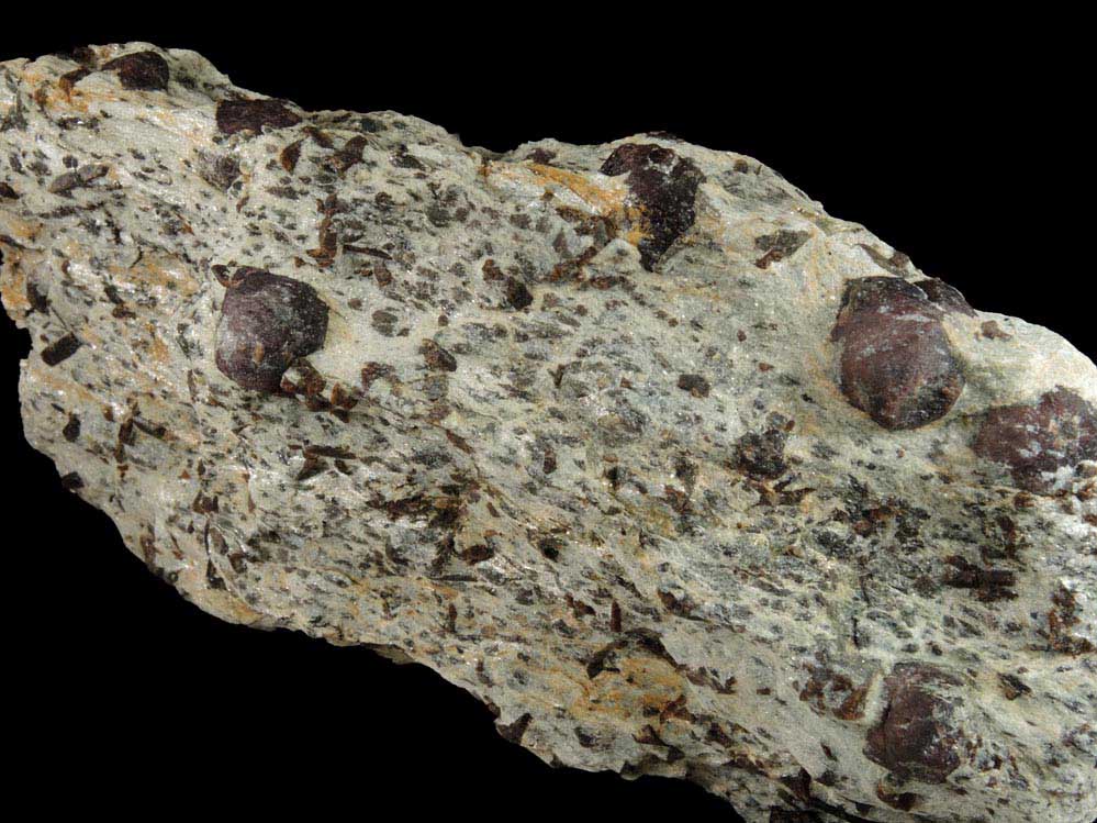 Almandine Garnet with Staurolite from Green's Farm, 750 m. ESE of Roxbury Falls, Roxbury, New Haven County, Connecticut