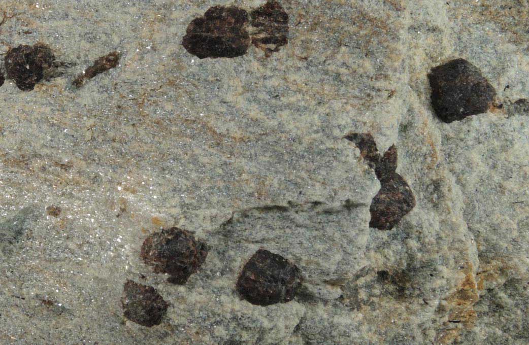 Almandine Garnet with Staurolite from Green's Farm, 750 m. ESE of Roxbury Falls, Roxbury, New Haven County, Connecticut