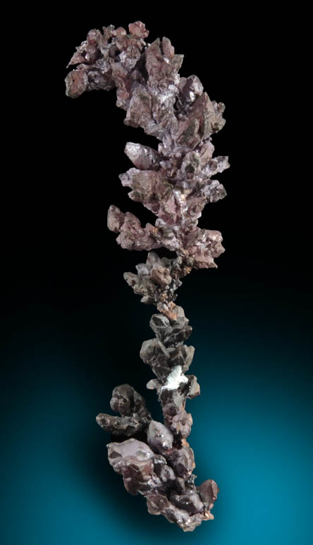 Copper (naturally crystallized native copper) with Cuprite coating from Itauz Mine, Karaganda Oblast', Kazakhstan