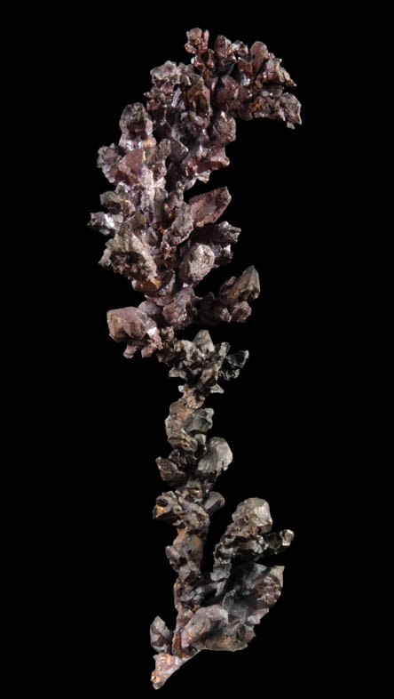 Copper (naturally crystallized native copper) with Cuprite coating from Itauz Mine, Karaganda Oblast', Kazakhstan