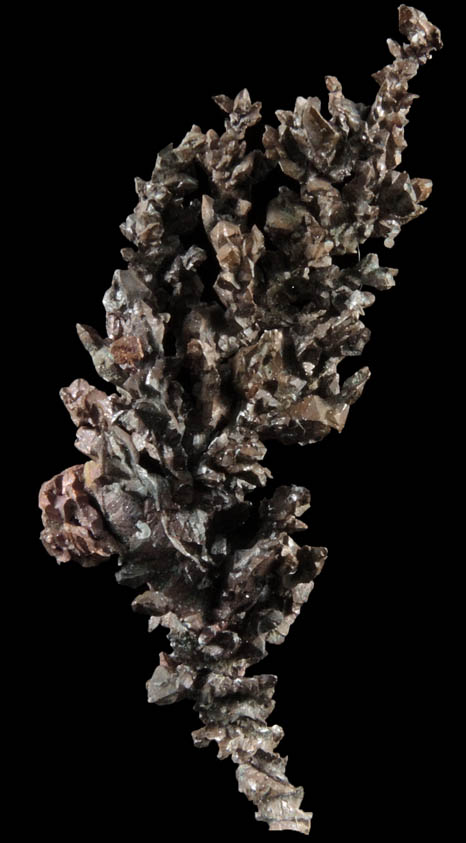 Copper (naturally crystallized native copper) from Mountain City Copper Mine, Elko County, Nevada
