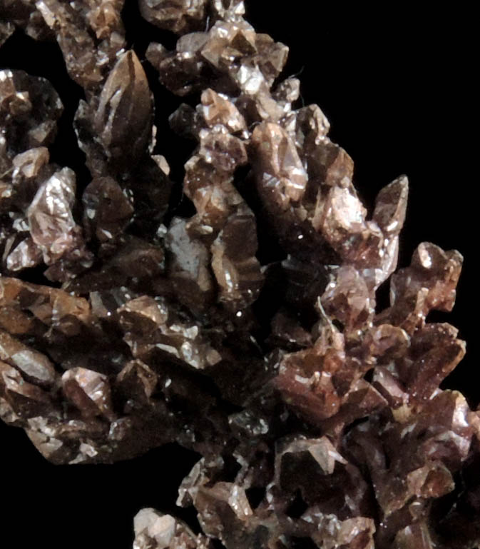 Copper (naturally crystallized native copper) from Mountain City Copper Mine, Elko County, Nevada
