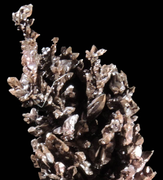 Copper (naturally crystallized native copper) from Mountain City Copper Mine, Elko County, Nevada